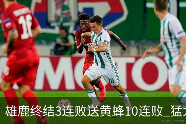 雄鹿终结3连败送黄蜂10连败 猛龙送火箭3连败